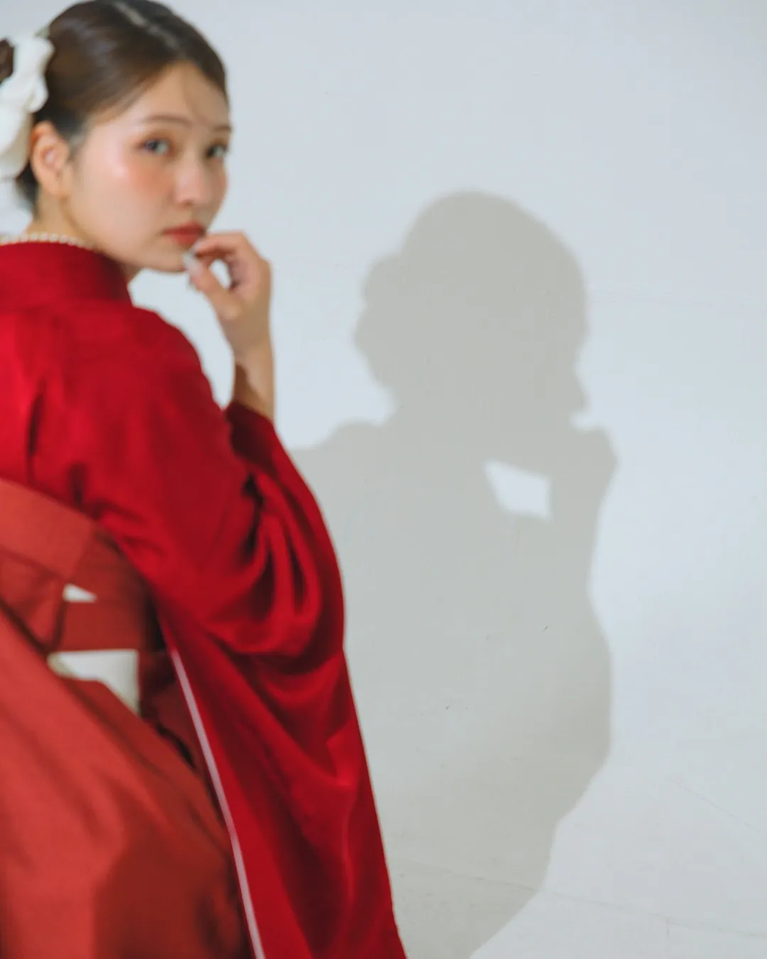 【New Collection】