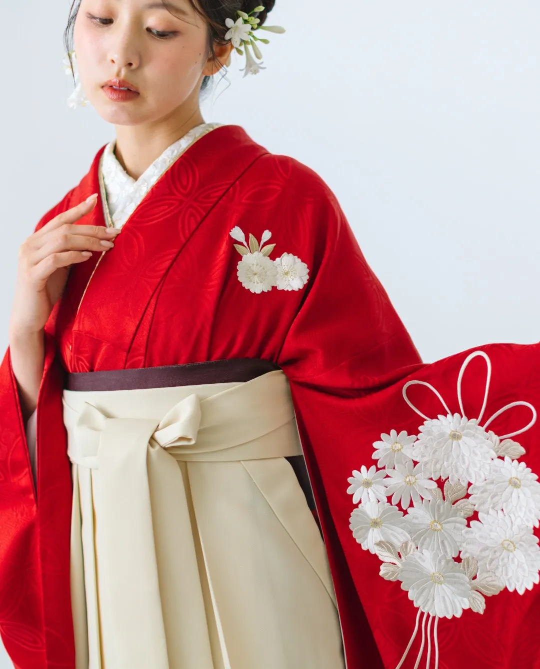 【New Collection】
