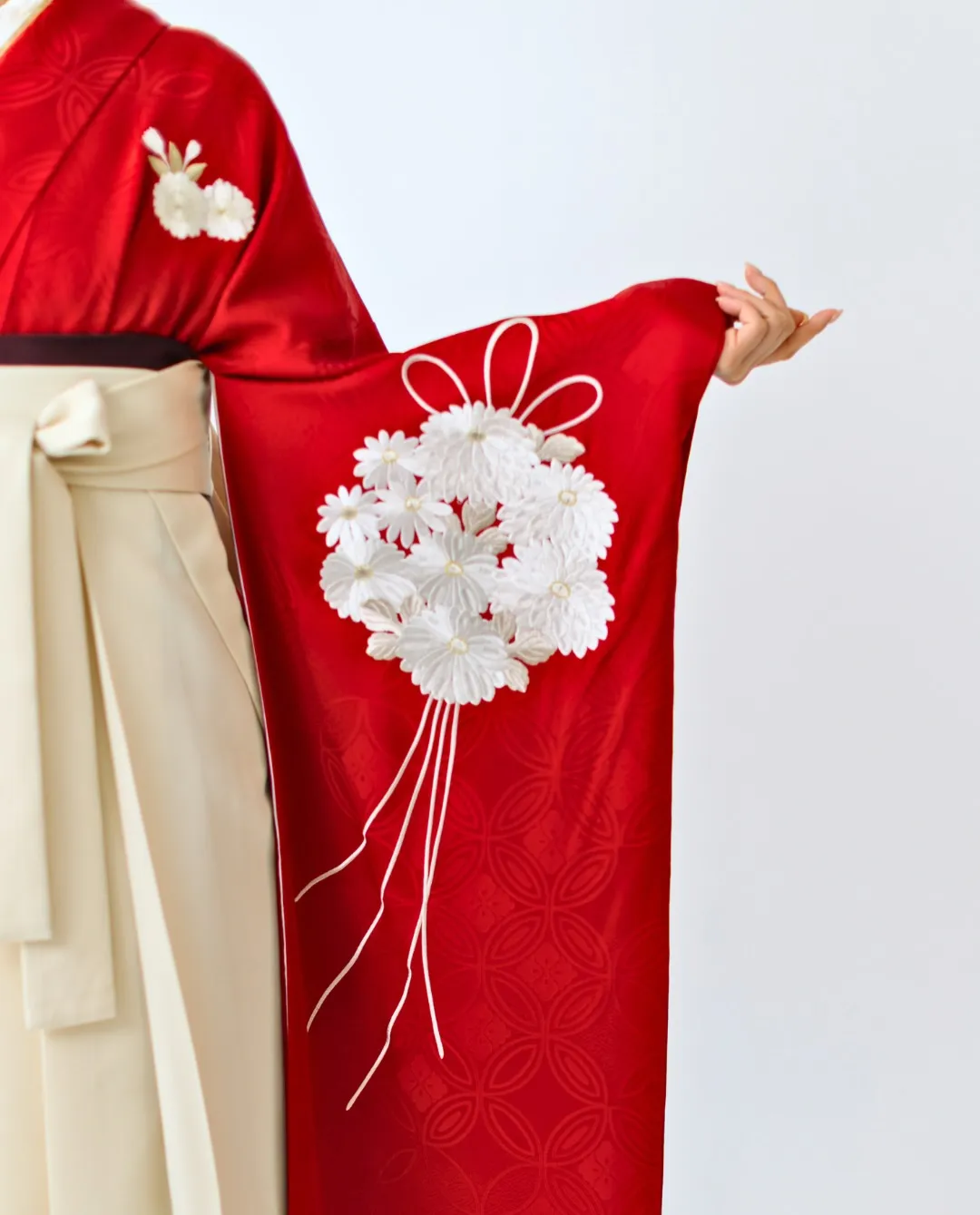 【New Collection】