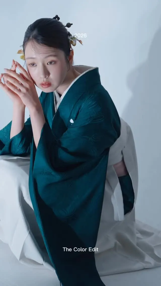 新作ラインナップのご紹介✨